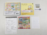 Sumikko Gurashi: This is My Comfortable Place Boxed Nintendo 3DS Japan - DL4735
