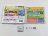 Animal Crossing New Leaf Boxed Nintendo 3DS Japan - DL4736