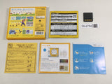 New Super Mario Bros. Boxed Nintendo DS Japan - DL4754