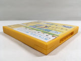 New Super Mario Bros. Boxed Nintendo DS Japan - DL4757