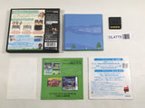 Animal Crossing Wild World Boxed Nintendo DS Japan - DL4775