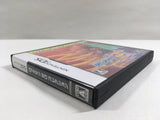 Megaman Rockman Zero COLLECTION Boxed Nintendo DS Japan - DL4781