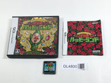Freshly Picked Tingle's Rosy Rupeeland Boxed Nintendo DS Japan - DL4800