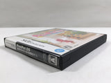 PostPet DS: Yumemiru Momo to Fushigi no Pen Boxed Nintendo DS Japan - DL4807