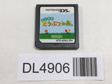 Animal Crossing Wild World Nintendo DS Japan - DL4906