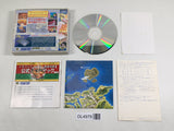 Dragon Slayer Eiyuu Densetsu II PC Engine TurboGrafx CD Japan - DL4978