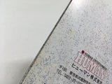 Thunder Pro Wrestling Retsuden Boxed SEGA MegaDrive Genesis Japan - DL5298