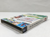 Super Mario Sunshine Nintendo GameCube Japan - DL5379