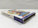 Super Mario Sunshine Nintendo GameCube Japan - DL5380