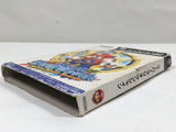 Super Mario Sunshine Nintendo GameCube Japan - DL5381