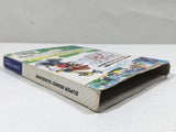 Super Mario Sunshine Nintendo GameCube Japan - DL5381