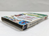 Super Mario Sunshine Nintendo GameCube Japan - DL5381