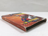 Mario Power Tennis GC Nintendo GameCube Japan - DL5384