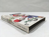 Mario Superstar Baseball Super Mario Stadium Miracle GameCube Japan - DL5385