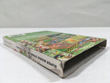 Mario Superstar Baseball Super Mario Stadium Miracle GameCube Japan - DL5385