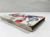 Mario Superstar Baseball Super Mario Stadium Miracle GameCube Japan - DL5386