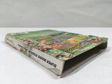 Mario Superstar Baseball Super Mario Stadium Miracle GameCube Japan - DL5386