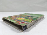 Mario Superstar Baseball Super Mario Stadium Miracle GameCube Japan - DL5386