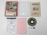 Paper Mario The Thousand Year Door Nintendo GameCube Japan - DL5387