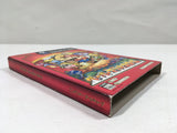 Paper Mario The Thousand Year Door Nintendo GameCube Japan - DL5387