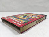 Paper Mario The Thousand Year Door Nintendo GameCube Japan - DL5387