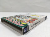 Naruto Clash of Ninja 2 Nintendo GameCube Japan - DL5392