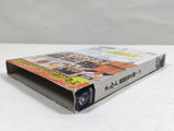 Naruto Gekito Ninja Taisen! 3 Nintendo GameCube Japan - DL5393
