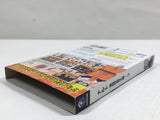 Naruto Gekito Ninja Taisen! 3 Nintendo GameCube Japan - DL5394