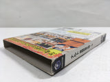 Naruto Gekito Ninja Taisen! 3 Nintendo GameCube Japan - DL5395