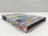 Pokemon Box Ruby and Sapphire Nintendo GameCube Japan - DL5401
