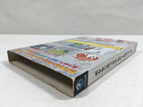 Pokemon Box Ruby and Sapphire Nintendo GameCube Japan - DL5402