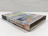 Pokemon Box Ruby and Sapphire Nintendo GameCube Japan - DL5403
