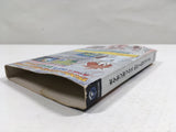 Pokemon Box Ruby and Sapphire Nintendo GameCube Japan - DL5403