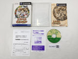 Harvest Moon Another Wonderful Life BokujoMonogatari GameCube Japan - DL5407