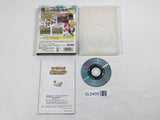 Harvest Moon Another Wonderful Life BokujoMonogatari GameCube Japan - DL5408