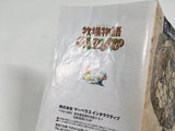 Harvest Moon Another Wonderful Life BokujoMonogatari GameCube Japan - DL5408