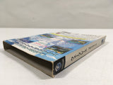 Wave Race Blue Storm Nintendo GameCube Japan - DL5413