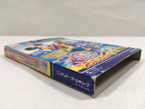 Disney's Party Magical Party Nintendo GameCube Japan - DL5417
