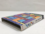 Tetris Worlds Nintendo GameCube Japan - DL5418
