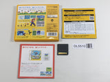 New Super Mario Bros. Boxed Nintendo DS Japan - DL5510