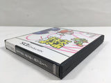 Yoshi Touch & Go Boxed Nintendo DS Japan - DL5529