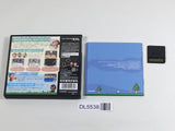 Animal Crossing Wild World Boxed Nintendo DS Japan - DL5538