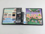 Animal Crossing Wild World Boxed Nintendo DS Japan - DL5541