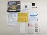 Dragon Quest IX Sentinels of the Starry Skies Boxed Nintendo DS Japan - DL5549