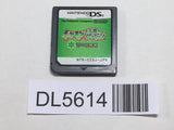 Pokemon Mystery Dungeon Explorers of Sky Nintendo DS Japan - DL5614