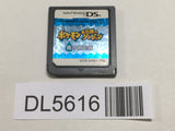 Pokemon Mystery Dungeon Blue Rescue Team Nintendo DS Japan - DL5616