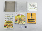 The Legend Of Zelda 2 Boxed Nintendo Famicom Disk Japan - DL5743