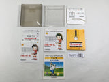 Volleyball Boxed Nintendo Famicom Disk Japan - DL5771