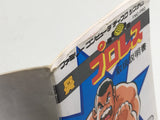 Pro Wrestling Boxed Nintendo Famicom Disk Japan - DL5772