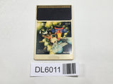 R Type 2 PC Engine TurboGrafx HU Japan - DL6011